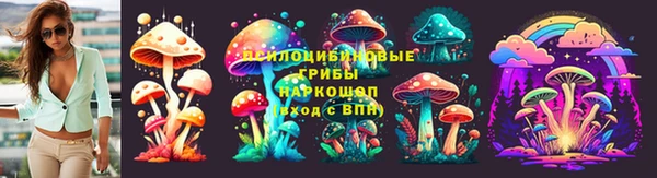 ПСИЛОЦИБИНОВЫЕ ГРИБЫ Балахна